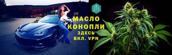 молекула духа Чекалин