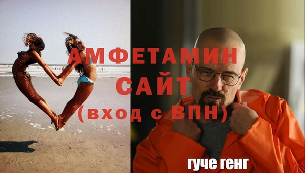 дмт Чегем