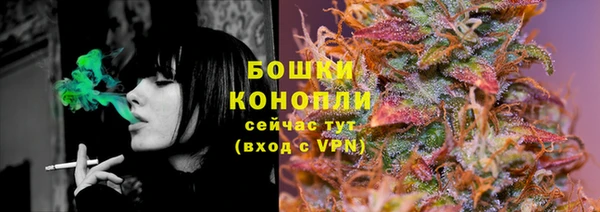стаф Чердынь