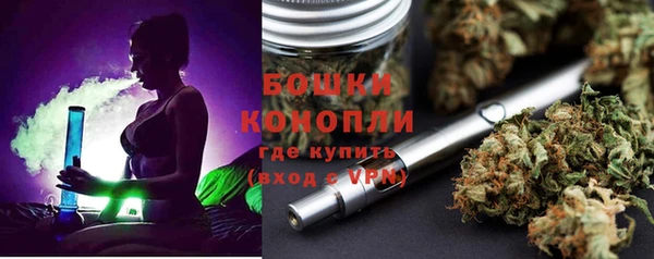 молекула духа Чекалин