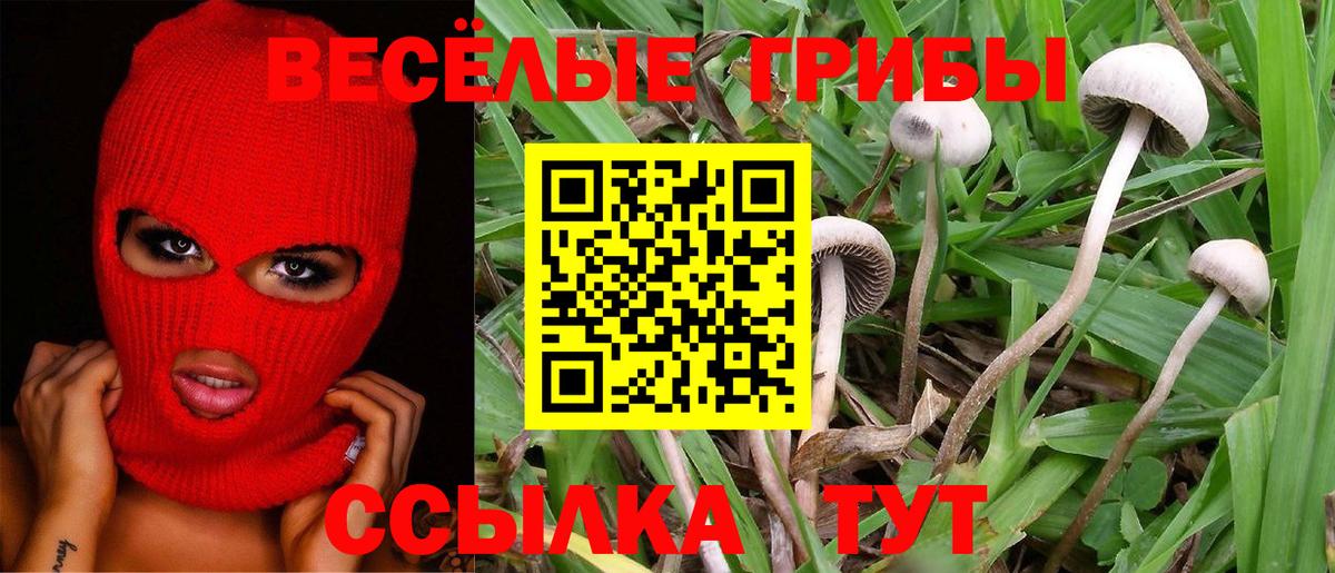 Псилоцибиновые грибы мицелий Оренбург