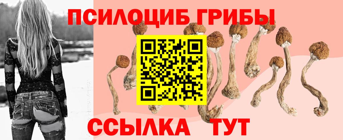 Галлюциногенные грибы мицелий  Вход с VPN  Оренбург 
